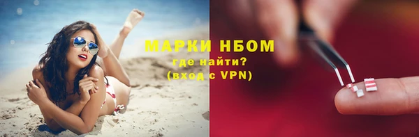 стафф Осинники