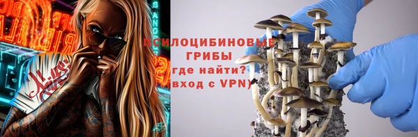 героин Няндома