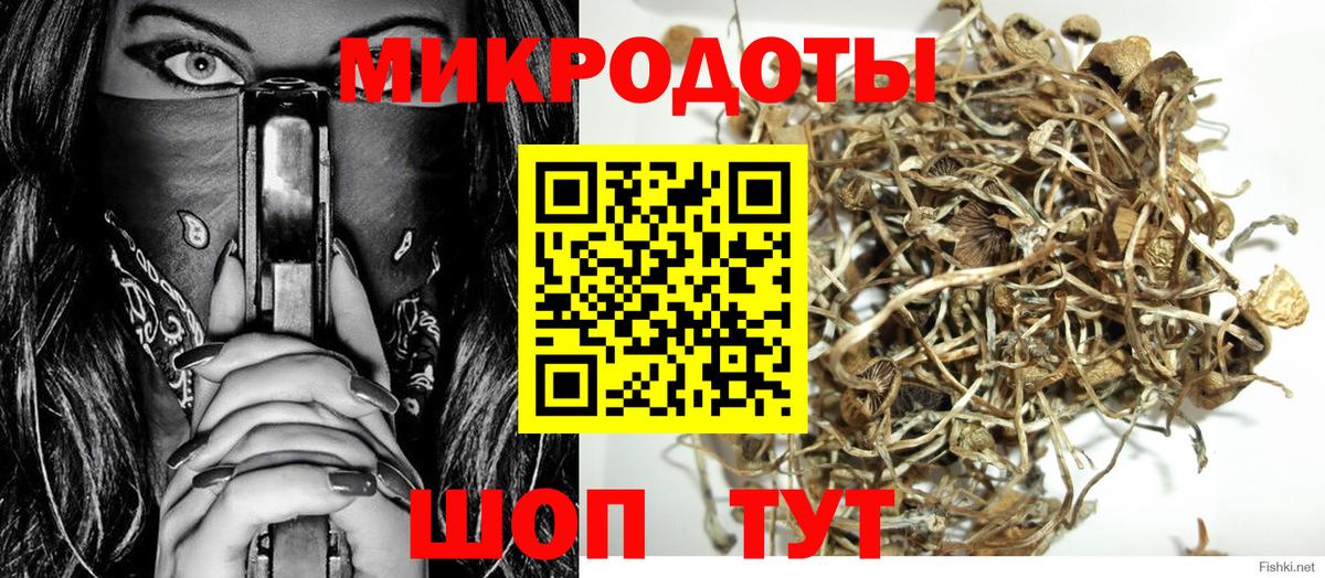 Псилоцибиновые грибы GOLDEN TEACHER  Вход с VPN  купить наркотик  Шуя 