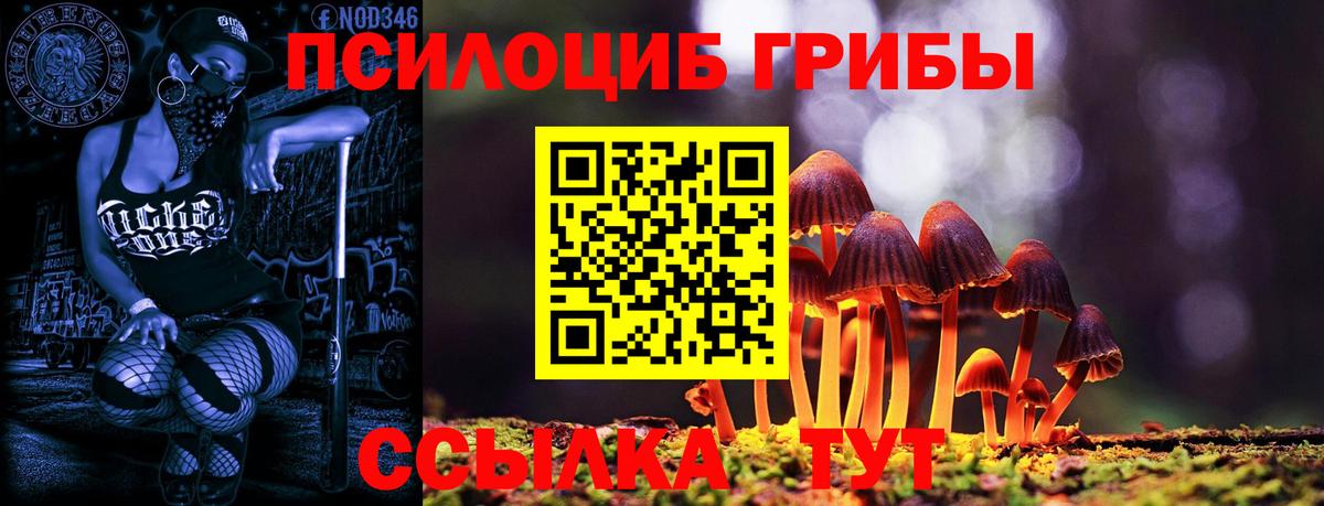 Псилоцибиновые грибы MAGIC MUSHROOMS Шуя